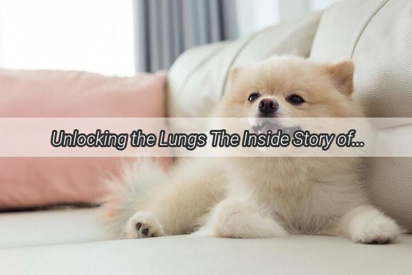  Unlocking the Lungs The Inside Story of XRaying Your Poochs Trachea